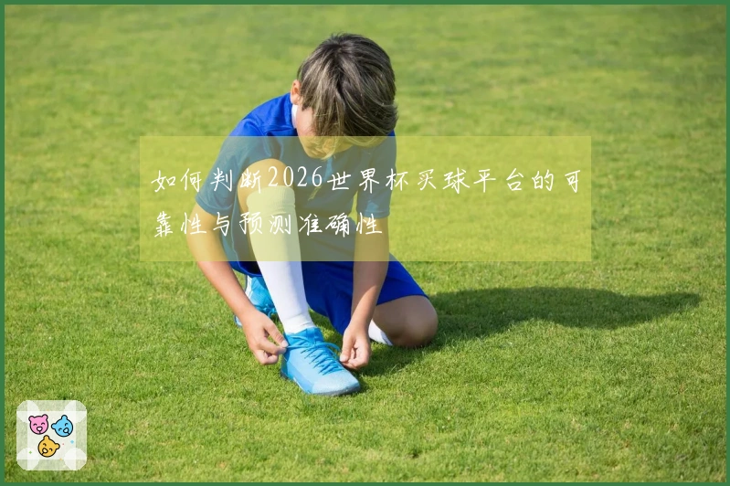如何判断2026世界杯买球平台的可靠性与预测准确性