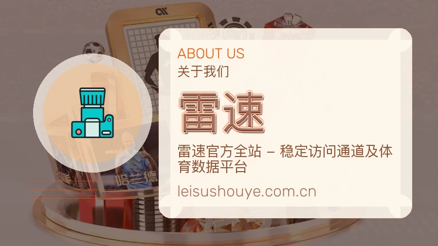 雷速发展说明